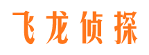 新县侦探公司